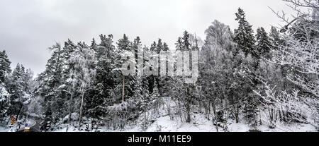 Forest and a nearby road in a Swedish city during winter. Snowy trees in a city. Stock Photo