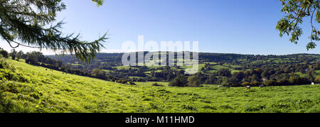 Early autumn colour in the trees in a picturesque Cotswold valley near Painswick, Gloucestershire, UK Stock Photo