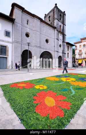 PRAVIA, SPAIN - JUNE 4: Carpets of flowers for the celebration of Corpus Christi  in June 4, 2015 in Pravia, Spain. During the past two months, fifty  Stock Photo