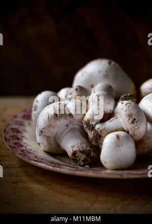 Fresh white mushrooms from the market - Champignons de Paris- on an old vintageFrench plate Stock Photo