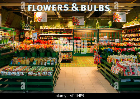 Dutch bulbs and tulips for sale at Amsterdam's Schiphol Airport, Netherlands. Visitors are recommended to visit the Keukenhof to see tulip varieties Stock Photo