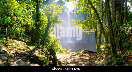Panorama of Misol Ha waterfall near Palenque in Chiapas, Mexico Stock Photo