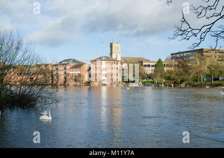 High river levels in Worcester leads to the riverbank of the River Severn flooding Stock Photo