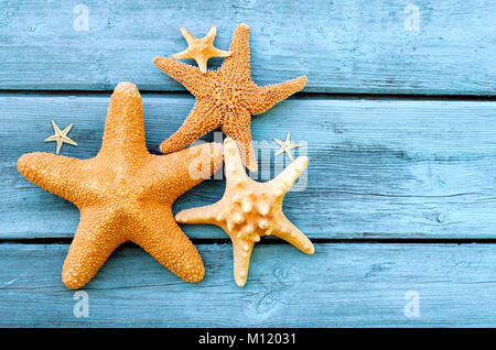 Summer sea background - shells, star on a wooden blue background. Stock Photo