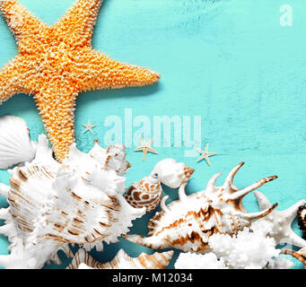 Summer sea background - shells, star on a wooden blue background. Stock Photo