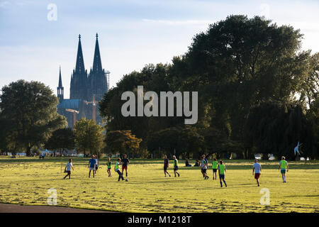 Germany, Cologne, the Rhine park in the district Deutz, view to the cathedral.  Deutschland, Koeln, der Rheinpark in Deutz, Blick zum Dom. Stock Photo