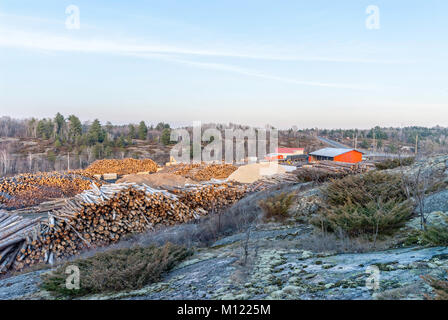 Logs piled up and waiting to be cut into lumber at a sawmill in Alban, Ontario Stock Photo