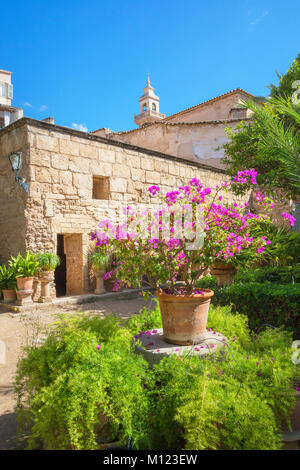 Garden in Arab baths,Banys Arabs,Palma de Mallorca,Mallorca,Balearic Islands,Spain Stock Photo