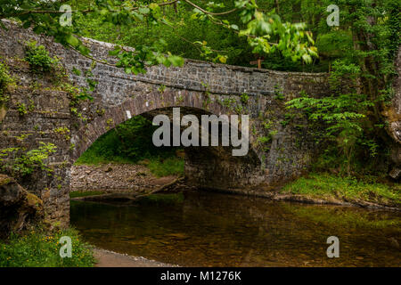 Old stone arch bridge over the river Nedd Fechan in the Brecon Beacons, Wales Stock Photo