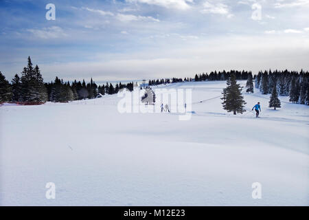 Rogla plateau with groomed trails for Nordic Cross-country skiing. Rogla ski resort, Slovenia Stock Photo