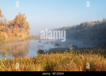 River bank. River reeds and bushes on a cold autumn morning in dense fog Stock Photo