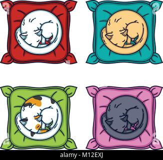 Cute cat sleeping on a pillow. Set cats. Isolated objects on white background. Vector illustration. Stock Vector