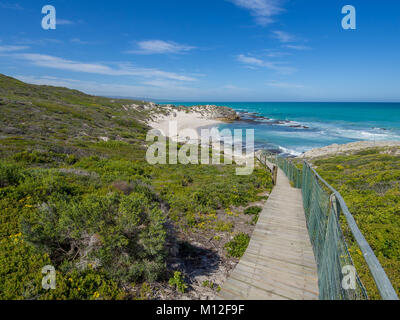 De Hoop Nature Reserve - Wooden walkway leading down to beautiful little bay with coastal vegetation, South Africa Stock Photo