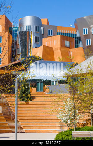 MIT campus iconic Stata Center designed by architect Frank Gehry. Building has orange walls and silver metal cladding. Staircase in the foreground. Stock Photo
