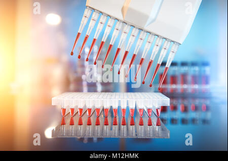 Scientific background. Multichannel pipette tips filled in with reaction mixture to amplify DNA in plastic wells. This image is toned. Stock Photo