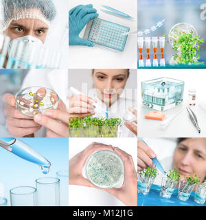 Experimental plant biology and workers in protective wear, set of matching pictures for your leaflet or webpage Stock Photo