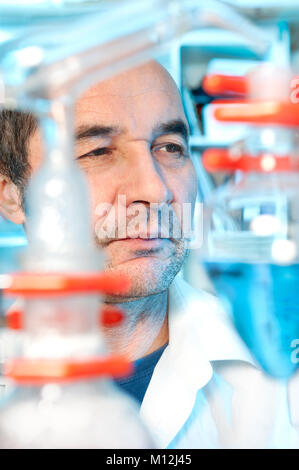 Senior tech works in chemical laboratory Stock Photo