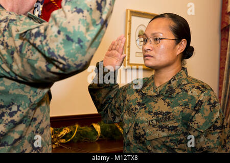 The Assistant Commandant of the Marine Corps Gen. Glenn M. Walters promotes Master Sgt. Elsy Rose Brazil, senior enlisted aide to the Assistant Commandant, at the Pentagon, Washington, D.C., Nov. 28, 2017. Brazil was pinned to the rank of Master Gunnery Sergeant by Gen. Joseph F. Dunford, 19th Chairman of the Joint Chiefs of Staff, and retired General John M. Paxton Jr., former Assistant Commandant of the Marine Corps, in her Military Occupational Specialty of Food Service. (U.S. Marine Corps Stock Photo