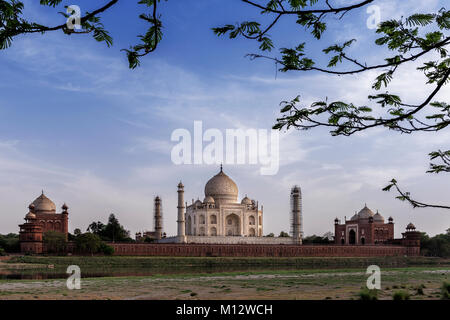 Iconic view of Taj Mahal one of the World Wonders, Agra, India Stock Photo