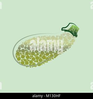 Fresh zucchini isolated on background. Squash whole. Fresh vegetable marrow isolated. Oblong, green squash. Vegetable marrow courgette or zucchini. Ha Stock Vector