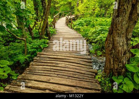 Boardwalk through the trees at Plitvice Lakes National Park, Croatia Stock Photo