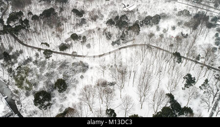 Nanjing. 26th Jan, 2018. Photo taken on Jan. 26, 2018 shows snow scenery of the Zijin Mountain in Nanjing, east China's Jiangsu Province. Credit: Li Xiang/Xinhua/Alamy Live News Stock Photo