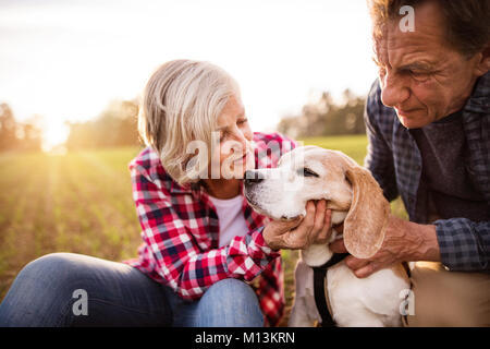 Senior couple with dog on a walk in an autumn nature. Stock Photo