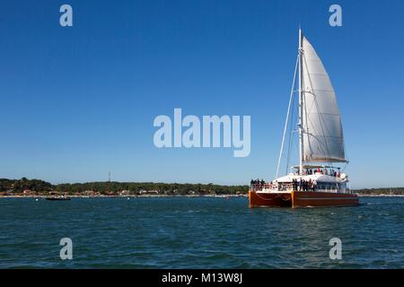 France, Gironde, Bassin d'Arcachon, l'Ile aux Oiseaux, cruising catamaran the Côte d'Argent Stock Photo