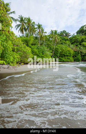 Beach Manuel Antonio Costa Rica Stock Photo