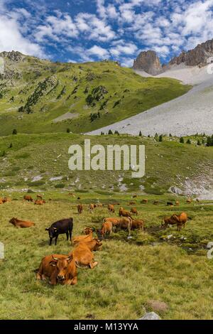 France, Savoy, Meribel, Tueda Plan Nature Reserve, the Fruit Valley under the Aiguille du Fruit 3051m from the National Park of La Vanoise Stock Photo