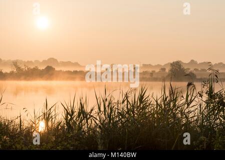France, Indre, Saint Michel en Brenne, Brenne Regional Nature Park, ponds in the mist at sunrise Stock Photo