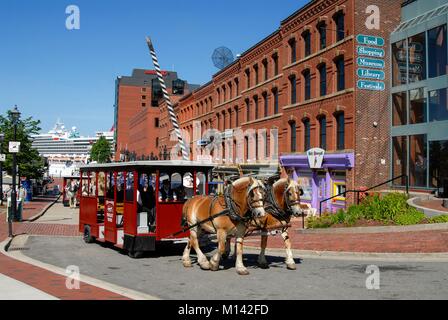 Canada, New Brunswick, Saint John, Market Square Stock Photo