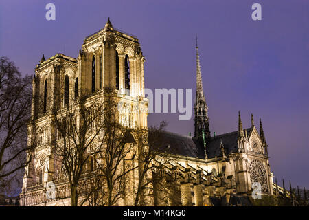 Paris, France: Night view of the Cathedral Notre Dame de Paris beyound empty tree branches during winter times. Stock Photo