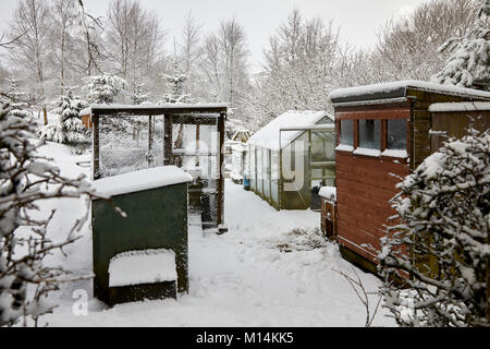 Snow covered kitchen garden on smallholding in Nidderdale. Stock Photo