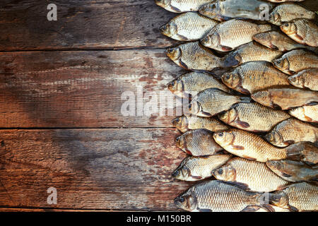 Fresh caught carp fish on wood. Catching freshwater fish on wood background. A lot of bream fish, crucian or roach on natural wood background. Backgro Stock Photo