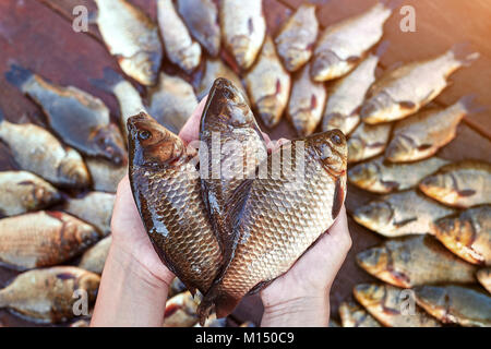 Three are fresh caught river fishes in hands. Fresh caught carp fish on wood. Catching freshwater fish on wood background. A lot of bream fish, crucia Stock Photo