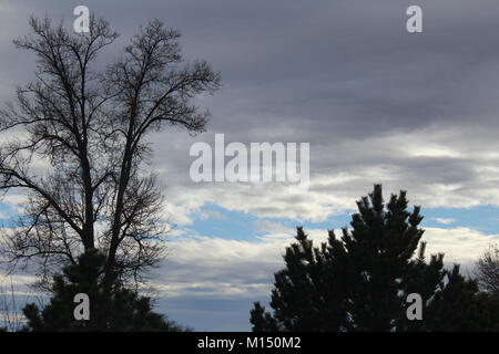 Dark Clouds Over Tree Line Stock Photo