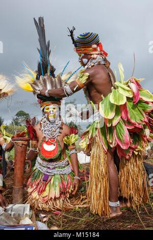 Papua New Guinea, women of the Western Highlands in the sing-sing of Mount Hagen, The shells were bought on the coast of Papua, The headdresses are made of feathers of parrot, eagle and birds of paradise, The bodies and the foliage is coated with an oil drawn from a tree, On the chest, a kina-shell, a sign of wealth, The kina-shells were used to pay the bride, The kina-shell (seashell that is worth the money , kina in Papua) indicates the wealth of the family or serves to pay the bride Stock Photo