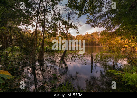 Silver Springs State Park, Ocala, Florida Stock Photo