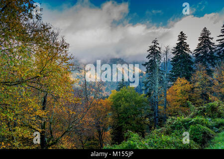 Great Smoky Mountains National Park Scenic View from Clingmans Dome, Elevation 6,643, the highest point in the National Park. Stock Photo