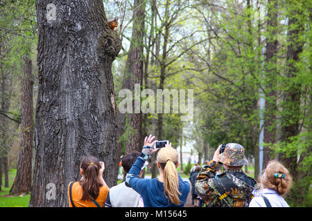 People are taking pictures of squirrels on phones and cameras in the city Park. Dependence on gadgets in modern technology world. Stock Photo