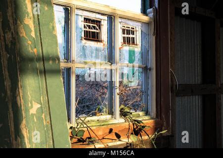 Sunlight shining on old broken glass window Stock Photo
