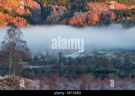 Stunning autumn landscape with foggy trees in front .Tigh Mor Trossachs, part of the Holiday Property Bond, Loch Achray, S Stock Photo