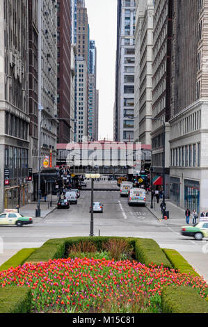 CHICAGO, IL - MAY 5, 2011 - View of Madison St. intersection with Michigan Ave, next to Millennium Park, during spring, with trees in full blossom Stock Photo