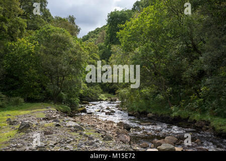 Gunnerside beck in Swaledale, North Yorkshire, England. Stock Photo