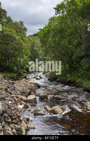 Gunnerside beck in Swaledale, North Yorkshire, England. Stock Photo