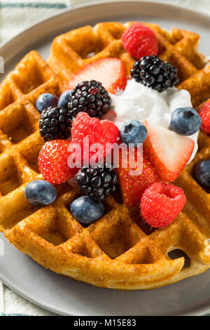 Sweet Homemade Berry Belgian Waffle with Whipped Cream Stock Photo