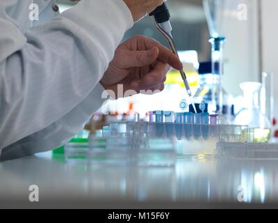 MODEL RELEASED. Biochemical research. Scientist pipetting samples into tubes ready for testing in a laboratory. Stock Photo