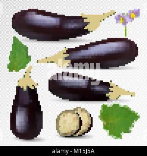 Vector Fresh Eggplant isolated on white background. Eggplant set, slice, flowers, leaf. Photo-realistic violet eggplant collection. Stock Vector