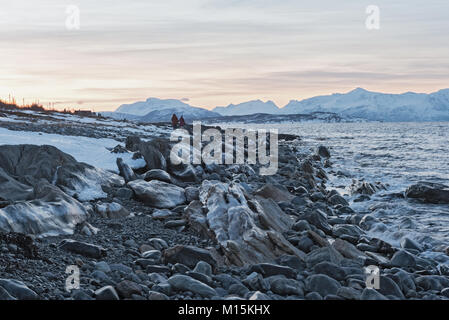 View of the Ullsfjorden and the Lyngen Alps, Lyngen, Tromsoe, Norway Stock Photo